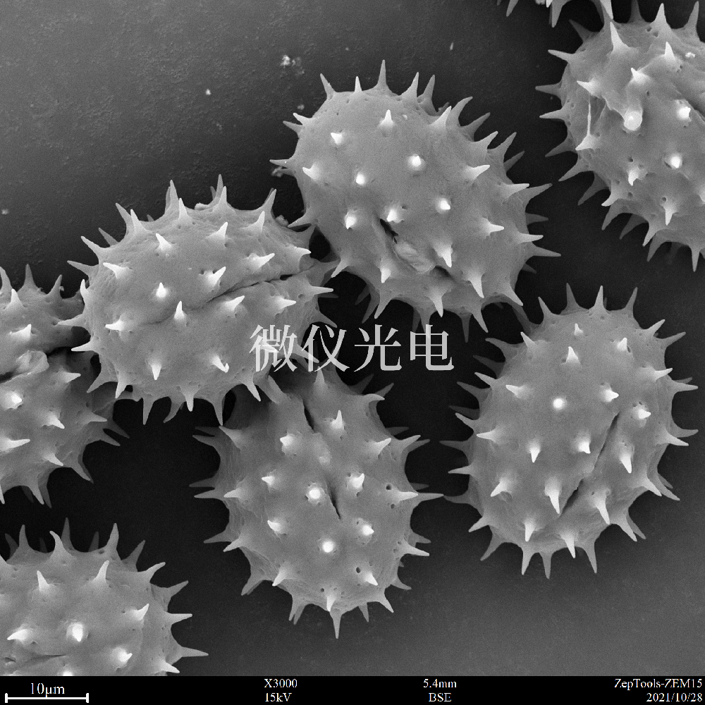 sem掃描電鏡的原理、組成、基本參數和應用的介紹